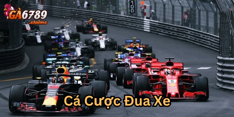 Cá Cược Đua Xe là gì?