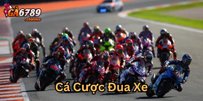 Các hình thức Cá Cược Đua Xe rất đa dạng