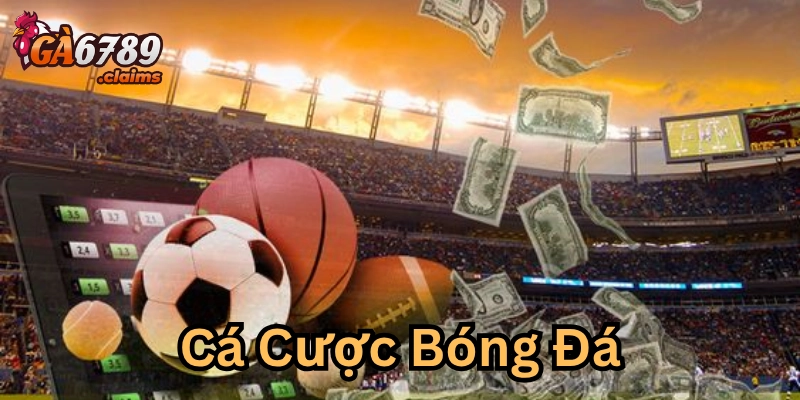 Cẩm nang chi tiết về cược bóng