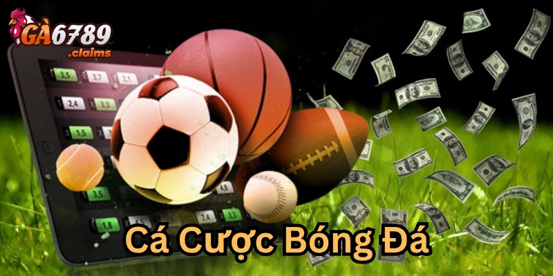 Định nghĩa cá cược bóng đá